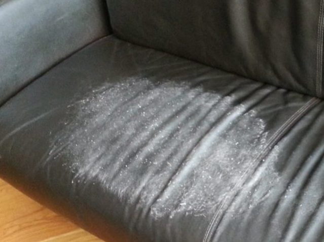 Cách loại bỏ những vết nấm mốc trên sofa bọc da