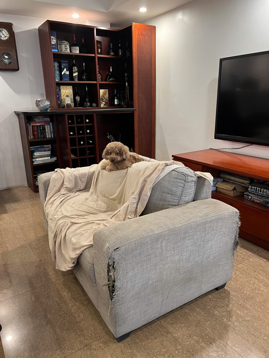 bọc lại ghế sofa bị thú cưng cào rách