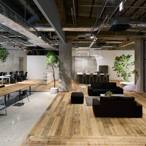 Thiết kế văn phòng với sofa theo phong cách Eco thân thiện