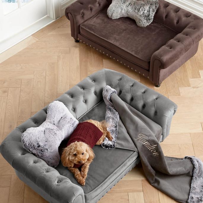 Top 2 loại vải bọc ghế sofa dành cho nhà có chó hoặc mèo