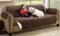 12 loại vải bọc ghế sofa tốt nhất để giữ cho chiếc ghế dài của bạn trông( và có mùi) như mới