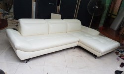 Bộ sofa da D006