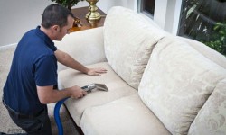 Mách bạn mẹo làm sạch cho từng loại sofa